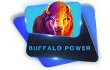 Buffalo Power 2